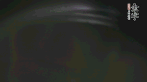 剝去外殼的筍、切花刀的香菇、豌豆入沸水焯水。