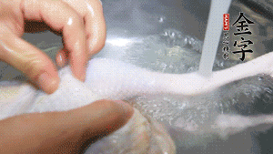 土雞處理干凈。（如果買不到土雞，一般的雞也是可以的，不過(guò)需要汆水。溫水下鍋汆燙7分鐘左右，汆燙時(shí)需要適時(shí)翻動(dòng)。汆燙雞肉是為了去掉生腥味，也是一次徹底清潔的過(guò)程，可以使燉出的湯清爽而不渾濁，鮮香而無(wú)異味）