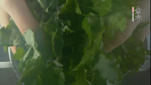 【面皮】1.鍋中水開時，放挑揀好的艾草和一撮小蘇打，第一遍煮開后倒掉，重新加水大火煮開后，小火煮1小時。煮爛的艾草用紗布瀝干。