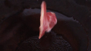 鍋中倒入橄欖油燒熱，放入淡火腿小火煸炒至打卷狀態(tài)。