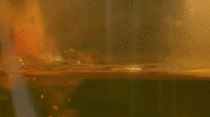 雞肉、鹽、料酒入冷水鍋水開后撇去浮沫，溫水洗凈。