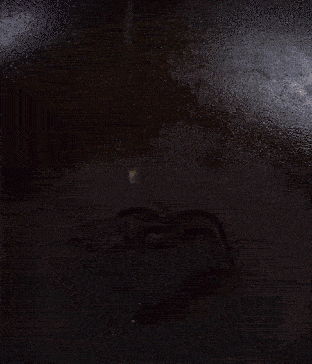 冷鍋熱油，下蒜片爆香，下香腸、玉米筍、蓮藕、西芹爆炒，期間加點水，翻炒1分鐘后加新鮮百合片，翻炒30秒。