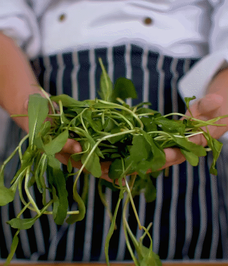 馬蘭頭焯水，切成細(xì)末。